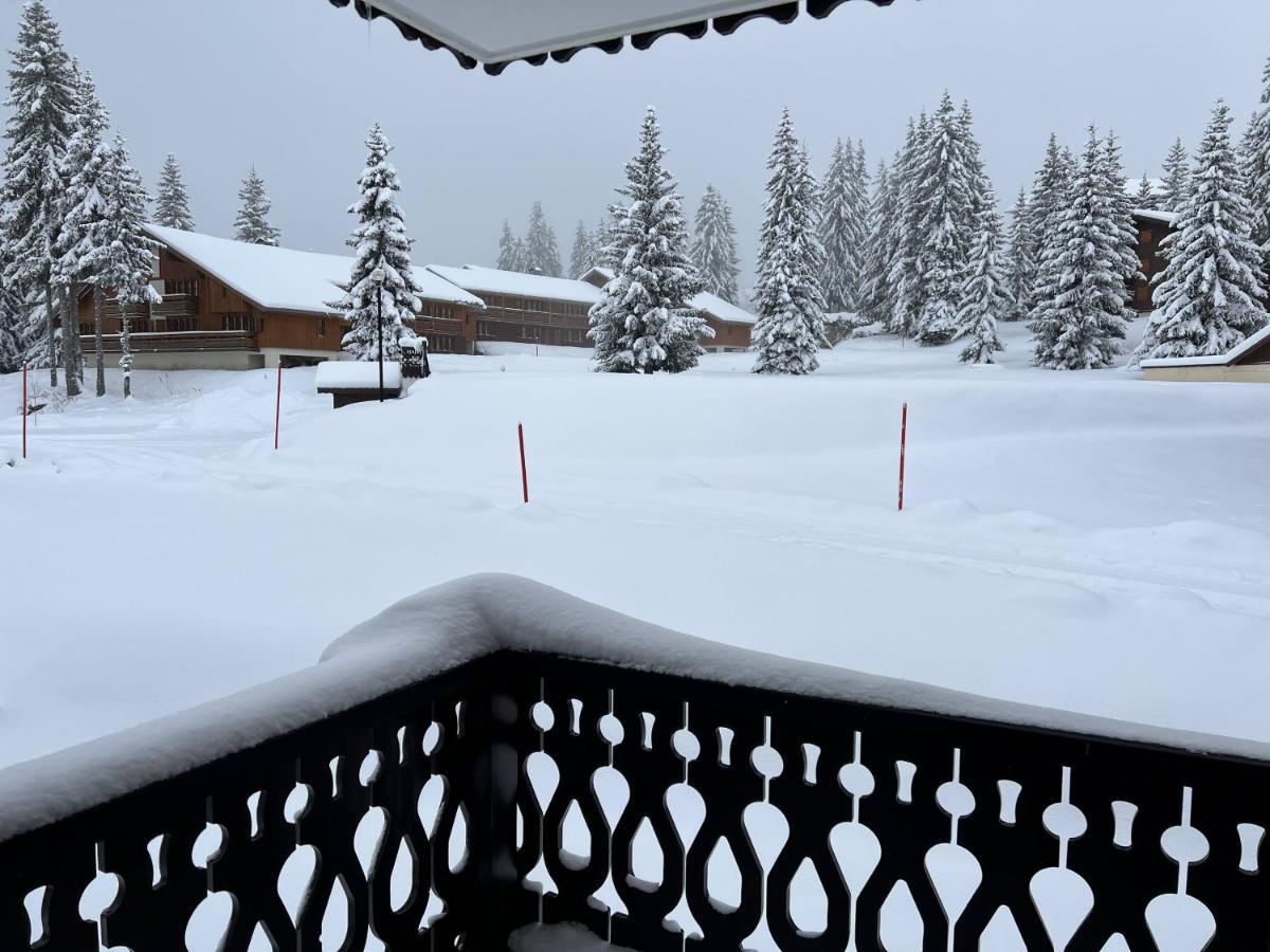 Residence La Foret Des Rennes - Les Saisies Villard-sur-Doron エクステリア 写真