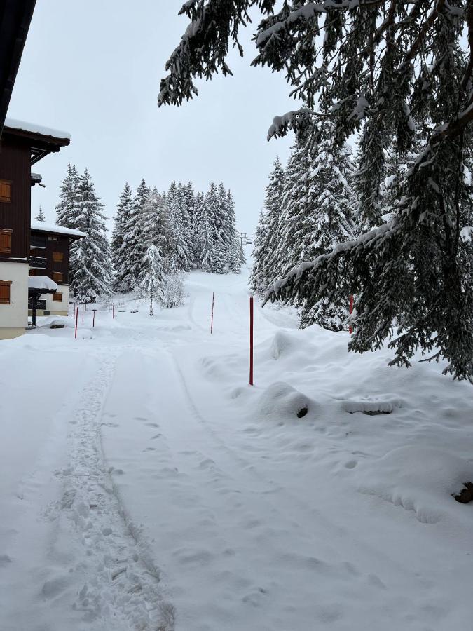 Residence La Foret Des Rennes - Les Saisies Villard-sur-Doron エクステリア 写真